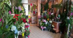 Boutique 1 pièce secteur Joinville Centre – 135 M2 – JOC282