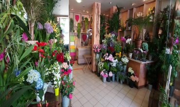 Boutique 1 pièce secteur Joinville Centre – 135 M2 – JOC282