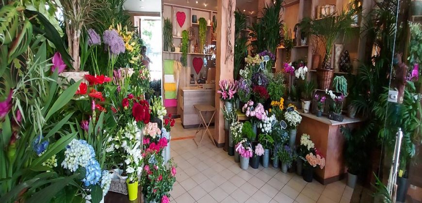 Boutique 1 pièce secteur Joinville Centre – 135 M2 – JOC282