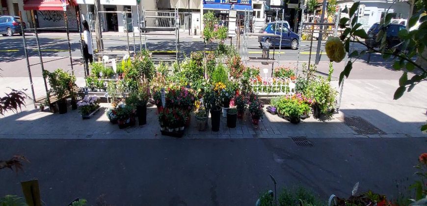 Boutique 1 pièce secteur Joinville Centre – 135 M2 – JOC282